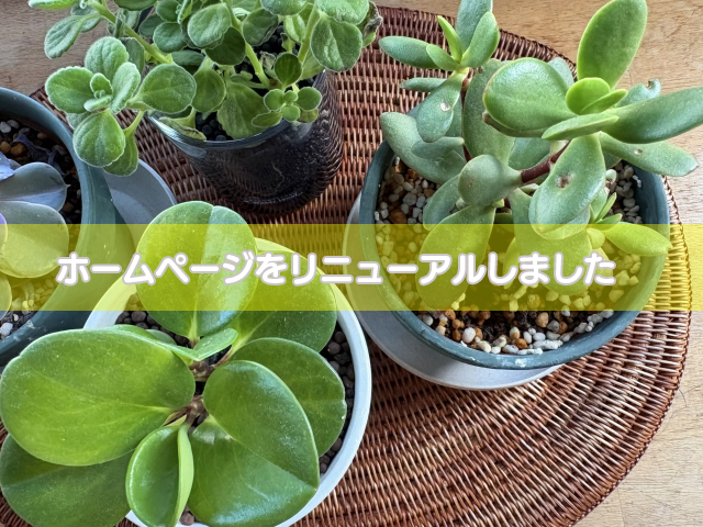 ホームページリニューアル